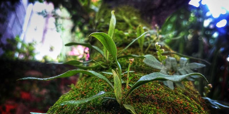 SD-WAN与SASE融合部署：解锁数字资源潜能与开发效率的终极策略