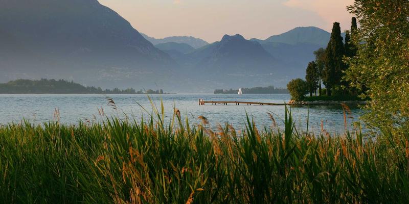 YT321网络技术入门指南：从零开始掌握编程与网络基础