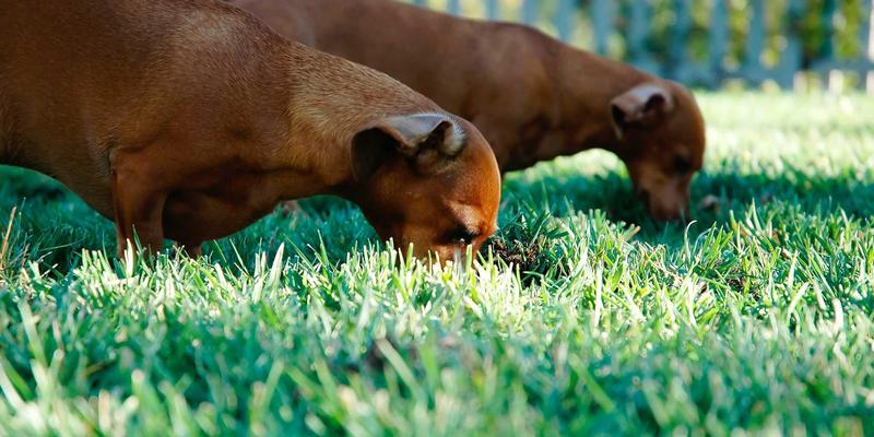 YT321：解锁网络技术69时代的资源宝库与编程学习新路径