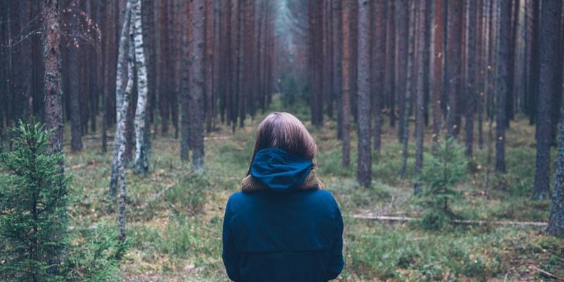 多接入边缘计算（MEC）平台架构解析：构建第三方应用集成生态的编程教程与数字资源指南