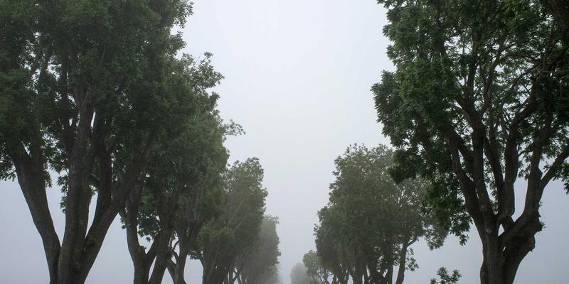 工业互联网编程实战：深度解析时间敏感网络(TSN)关键技术