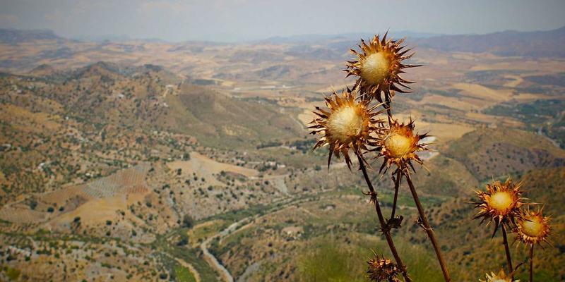 数字资源深度评测:YT321编程教程是否值得投入学习时间?