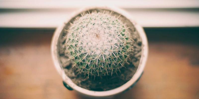 网络即服务（NaaS）商业模式解析：如何重塑企业网络消费与运维，赋能开发工具与数字资源管理