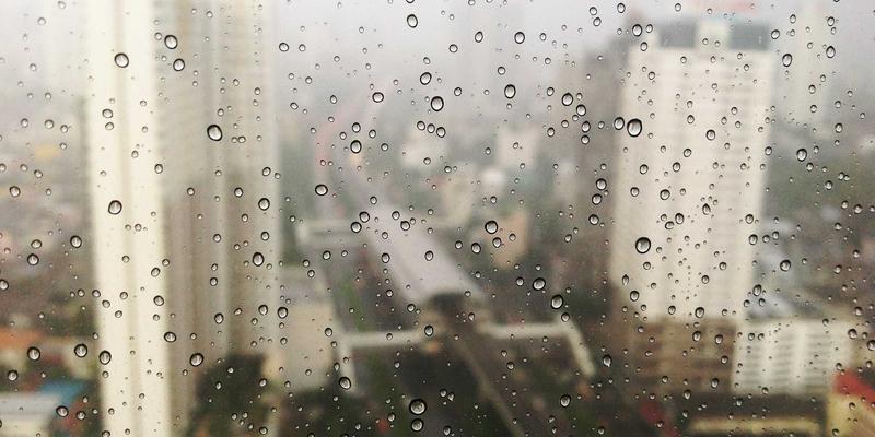 网络技术39：精选开发工具与数字资源全解析