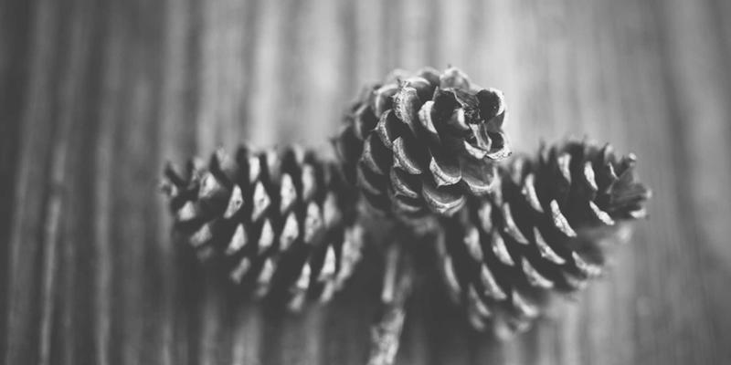 网络数字孪生：利用先进开发工具与网络技术，构建虚拟模型优化数字资源管理