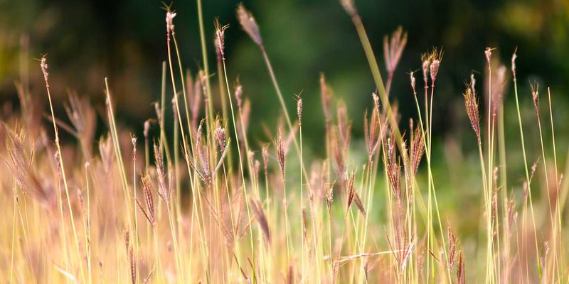 零信任网络架构（ZTNA）实战指南：远程办公场景下的实施难点与编程解决方案